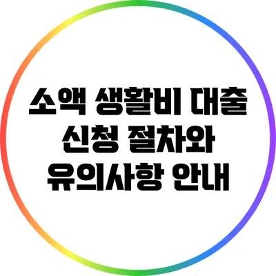 소액 생활비 대출 신청 절차와 유의사항 안내