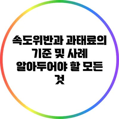 속도위반과 과태료의 기준 및 사례: 알아두어야 할 모든 것