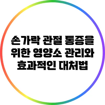 손가락 관절 통증을 위한 영양소 관리와 효과적인 대처법