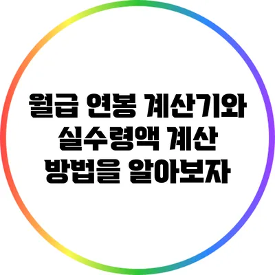월급 연봉 계산기와 실수령액 계산 방법을 알아보자