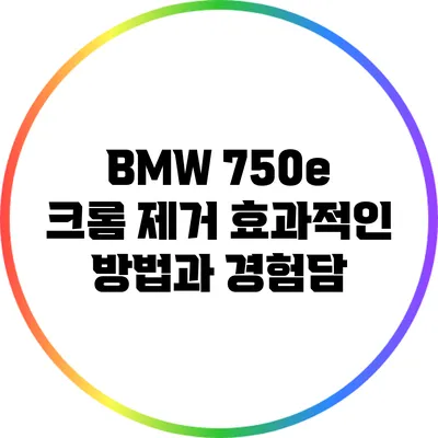 BMW 750e 크롬 제거: 효과적인 방법과 경험담