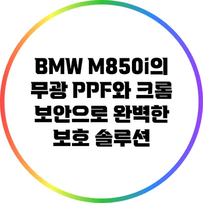 BMW M850i의 무광 PPF와 크롬 보안으로 완벽한 보호 솔루션