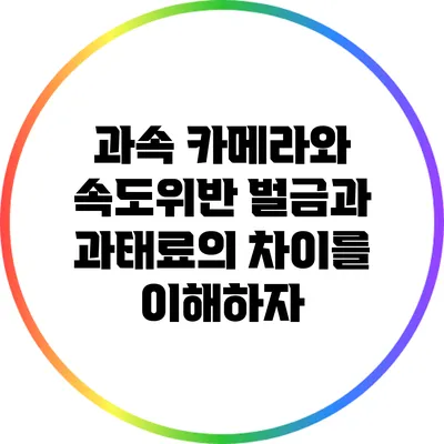 과속 카메라와 속도위반: 벌금과 과태료의 차이를 이해하자
