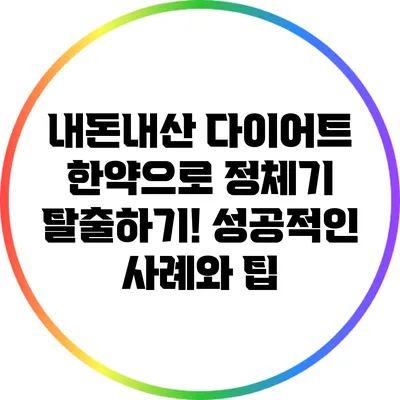 내돈내산 다이어트 한약으로 정체기 탈출하기! 성공적인 사례와 팁