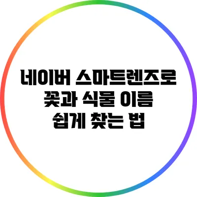 네이버 스마트렌즈로 꽃과 식물 이름 쉽게 찾는 법