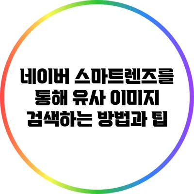 네이버 스마트렌즈를 통해 유사 이미지 검색하는 방법과 팁