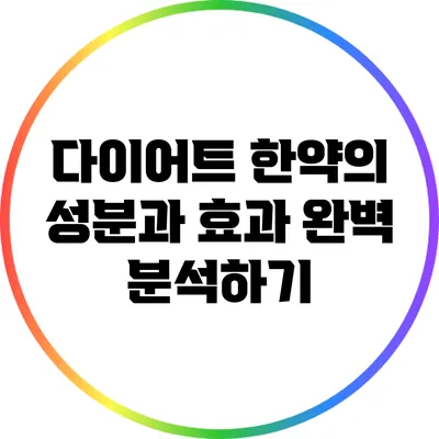 다이어트 한약의 성분과 효과 완벽 분석하기
