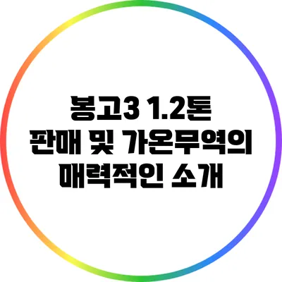 봉고3 1.2톤 판매 및 가온무역의 매력적인 소개