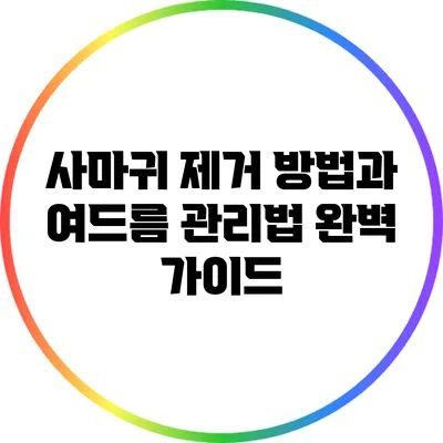 사마귀 제거 방법과 여드름 관리법 완벽 가이드