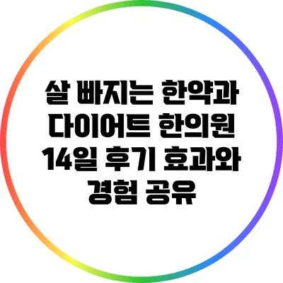 살 빠지는 한약과 다이어트 한의원 14일 후기: 효과와 경험 공유