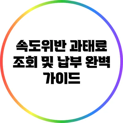 속도위반 과태료 조회 및 납부 완벽 가이드