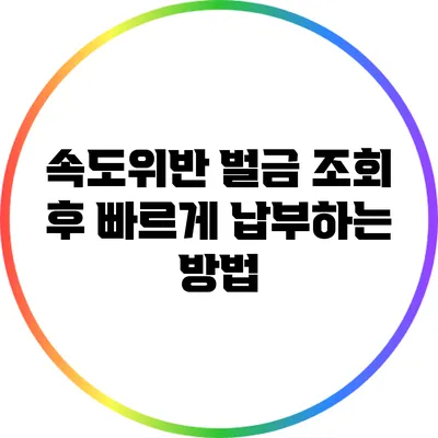 속도위반 벌금 조회 후 빠르게 납부하는 방법