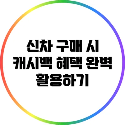 신차 구매 시 캐시백 혜택 완벽 활용하기
