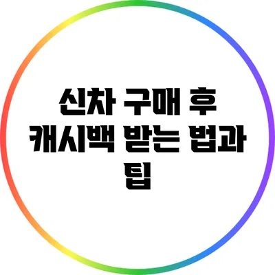 신차 구매 후 캐시백 받는 법과 팁