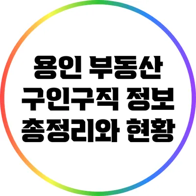 용인 부동산 구인구직 정보 총정리와 현황