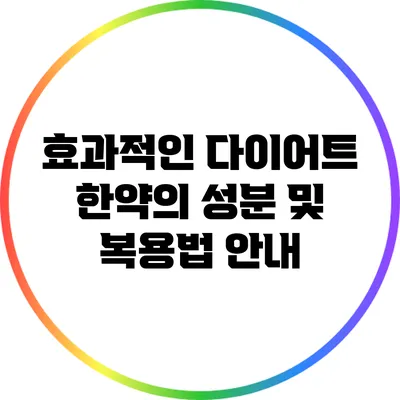 효과적인 다이어트 한약의 성분 및 복용법 안내