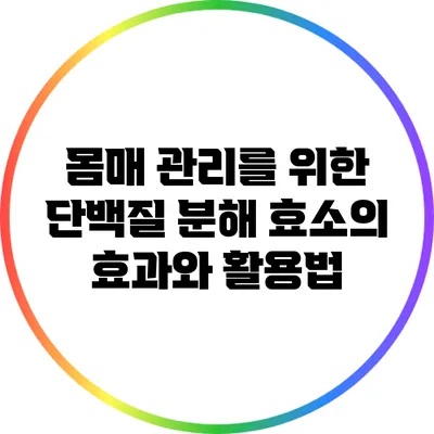 몸매 관리를 위한 단백질 분해 효소의 효과와 활용법