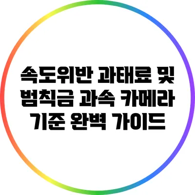 속도위반 과태료 및 범칙금: 과속 카메라 기준 완벽 가이드