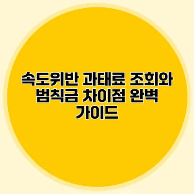 속도위반 과태료 조회와 범칙금 차이점 완벽 가이드