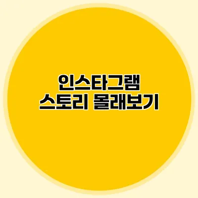 인스타그램 스토리 몰래보기
