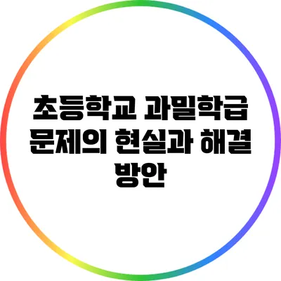초등학교 과밀학급 문제의 현실과 해결 방안