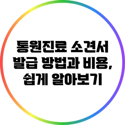 통원진료 소견서 발급 방법과 비용, 쉽게 알아보기