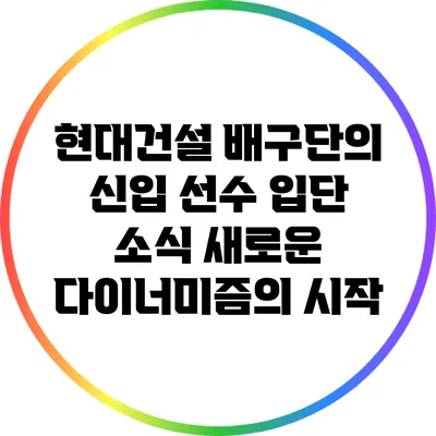 현대건설 배구단의 신입 선수 입단 소식: 새로운 다이너미즘의 시작