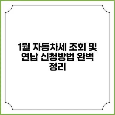 1월 자동차세 조회 및 연납 신청방법 완벽 정리