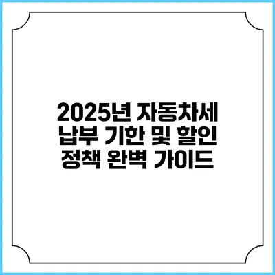 2025년 자동차세 납부 기한 및 할인 정책 완벽 가이드