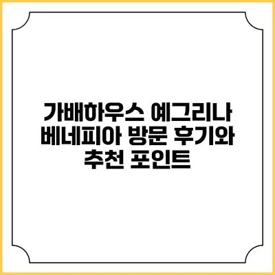 가배하우스 예그리나 베네피아 방문 후기와 추천 포인트