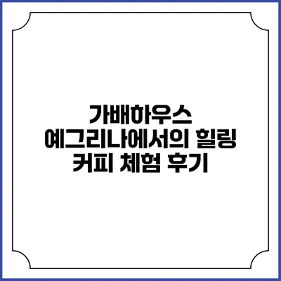 가배하우스 예그리나에서의 힐링 커피 체험 후기