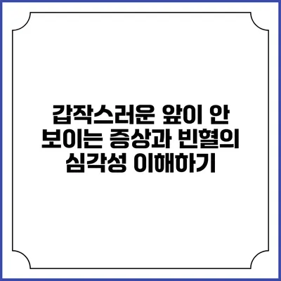 갑작스러운 앞이 안 보이는 증상과 빈혈의 심각성 이해하기