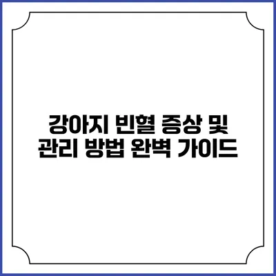 강아지 빈혈 증상 및 관리 방법 완벽 가이드