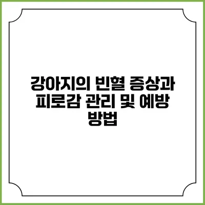 강아지의 빈혈 증상과 피로감 관리 및 예방 방법