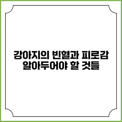 강아지의 빈혈과 피로감: 알아두어야 할 것들