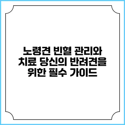노령견 빈혈 관리와 치료: 당신의 반려견을 위한 필수 가이드