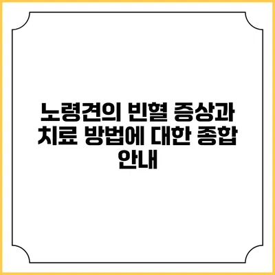 노령견의 빈혈 증상과 치료 방법에 대한 종합 안내