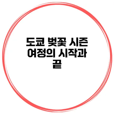 도쿄 벚꽃 시즌 여정의 시작과 끝