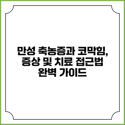 만성 축농증과 코막힘, 증상 및 치료 접근법 완벽 가이드