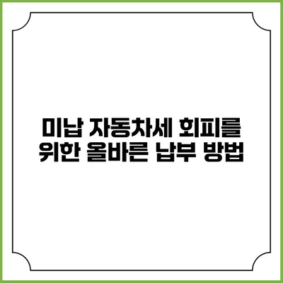 미납 자동차세 회피를 위한 올바른 납부 방법