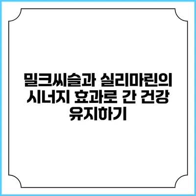 밀크씨슬과 실리마린의 시너지 효과로 간 건강 유지하기