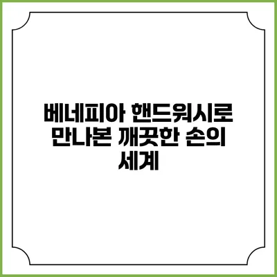 베네피아 핸드워시로 만나본 깨끗한 손의 세계