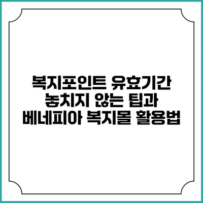 복지포인트 유효기간 놓치지 않는 팁과 베네피아 복지몰 활용법