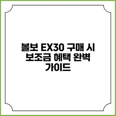 볼보 EX30 구매 시 보조금 혜택 완벽 가이드