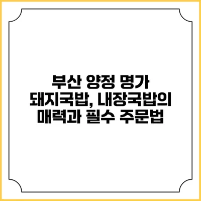 부산 양정 명가 돼지국밥, 내장국밥의 매력과 필수 주문법