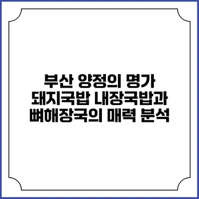 부산 양정의 명가 돼지국밥: 내장국밥과 뼈해장국의 매력 분석