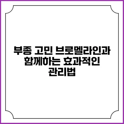 부종 고민? 브로멜라인과 함께하는 효과적인 관리법