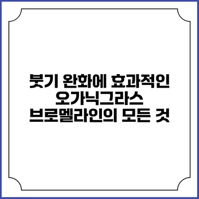 붓기 완화에 효과적인 오가닉그라스 브로멜라인의 모든 것