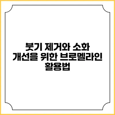 붓기 제거와 소화 개선을 위한 브로멜라인 활용법