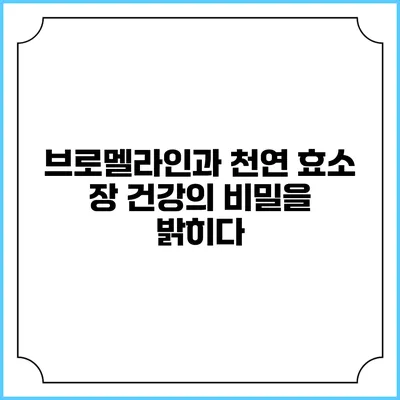 브로멜라인과 천연 효소: 장 건강의 비밀을 밝히다